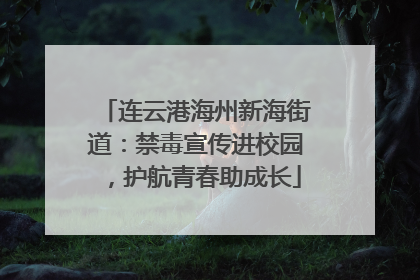 连云港海州新海街道：禁毒宣传进校园，护航青春助成长